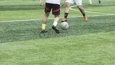 BG真人 (Sports) 资讯 134553 b2r