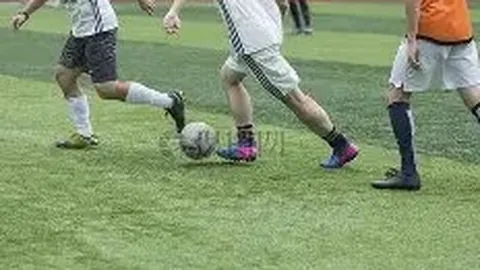 BG真人 (Sports) 资讯 134515 2d5