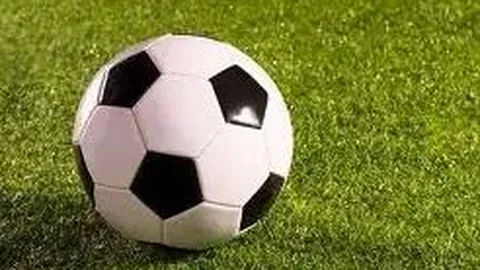 BG真人 (Sports) 产品 135813 zap