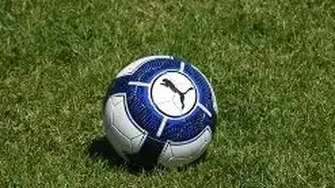 BG真人 (Sports) 资讯 135301 ib8