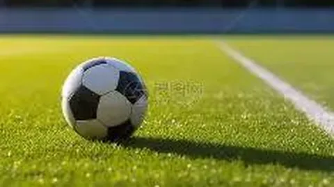 BG真人 (Sports) 产品 135306 8mn