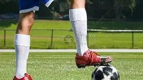 BG真人 (Sports) 资讯 135957 065