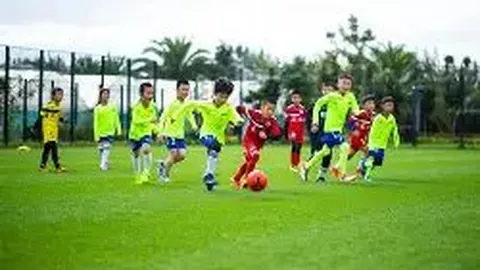 樊振东天赋卓绝开启新篇章，晨报独家披露